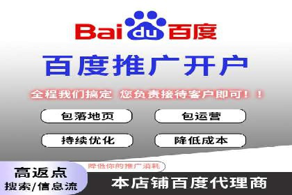 百度竞价赚钱攻略：实战案例分享